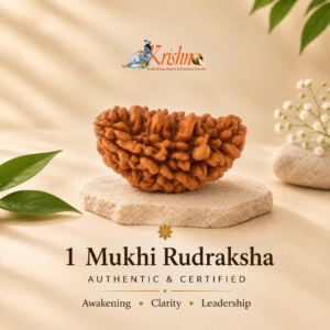 1 Mukhi Indonesian Rudraksha