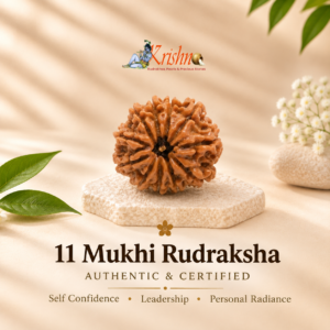 11 Mukhi Nepali Rudraksha