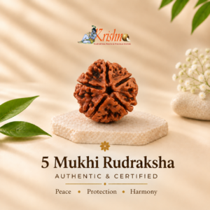 5 Mukhi Nepali Rudraksha