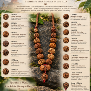 Nepali Rudraksha Siddha Mala